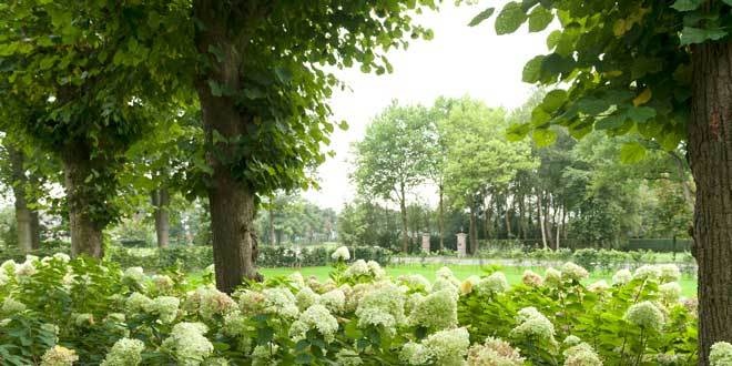 Het tuincentrum in Dwingeloo, Drenthe en regio