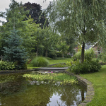 Romantische Teichgarten